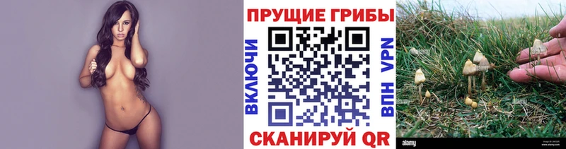 Галлюциногенные грибы MAGIC MUSHROOMS Саранск