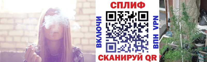 как найти наркотики  Саранск  Каннабис OG Kush 